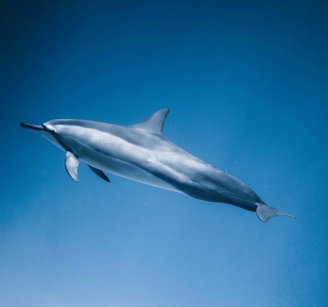 撤退学研究ユニット