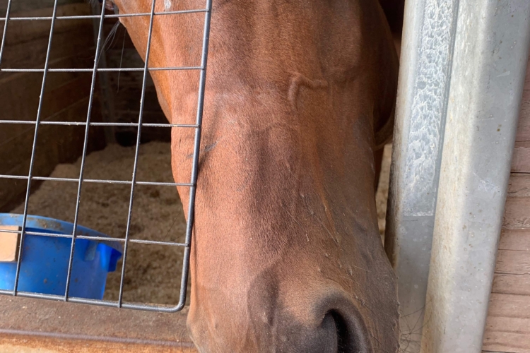 仕事文化研究ユニット（※2025年3月31日をもってユニット活動を終了）